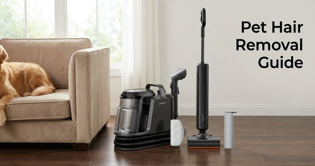 Pet Hair Removal from Carpets & Sofas: The Ultimate 2-Tool Guide