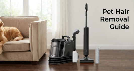 Pet Hair Removal from Carpets & Sofas: The Ultimate 2-Tool Guide
