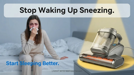 How to Get Rid of Dust Mites in Your Mattress (And Stop Waking Up Sneezing)