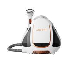B100 Portable Upholstery Cleaner